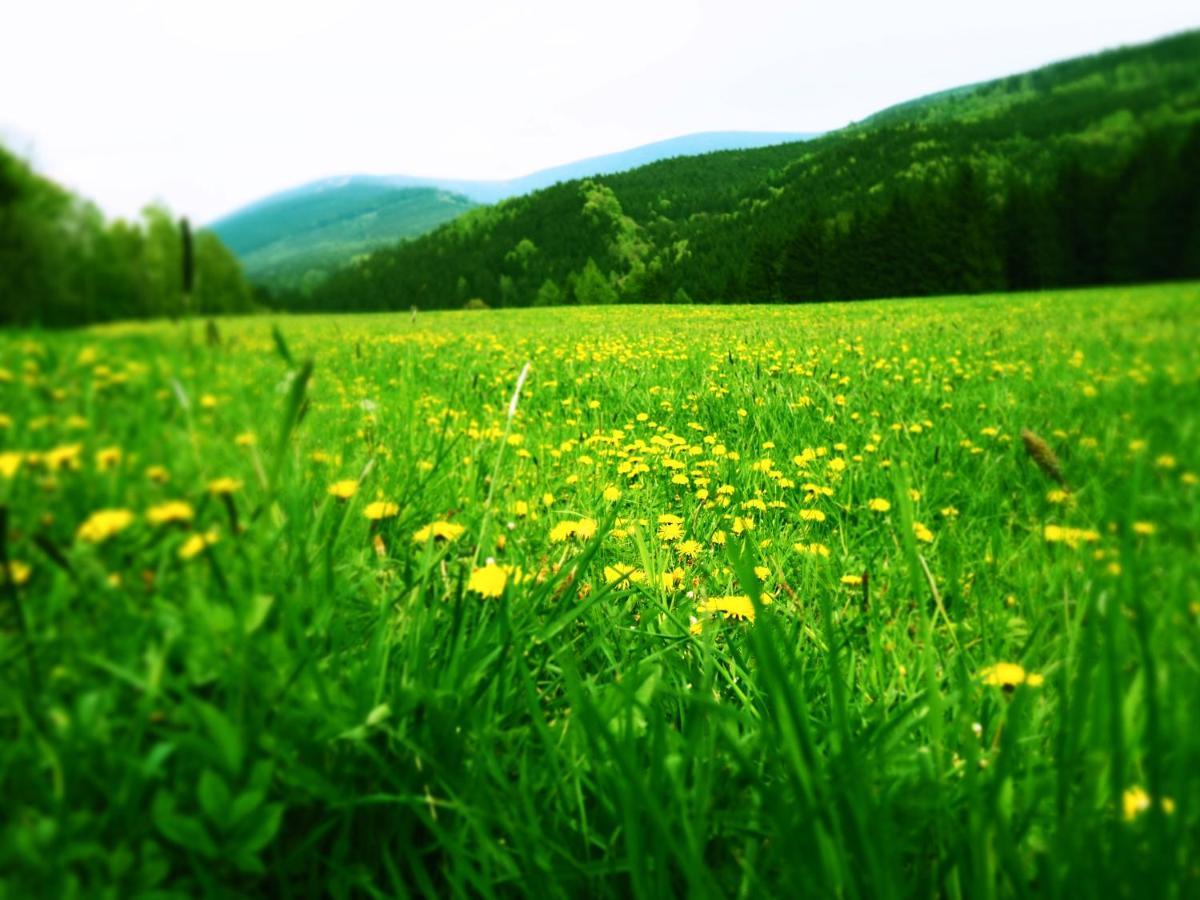 Srub U Lanovky Hostel แรมโซวา ภายนอก รูปภาพ